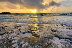 Long Island Bahamas: Guidet tur i en hel dag