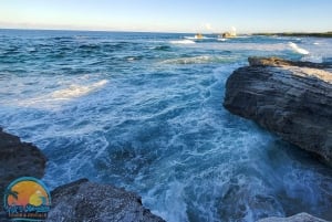 Long Island Bahamas: Guidet tur i en hel dag