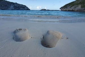 Long Island Bahamas: Guidet tur i en hel dag