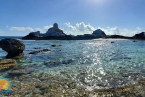 Long Island Bahamas: Guidet tur i en hel dag