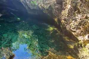 Long Island Bahamas: Guidet tur i en hel dag