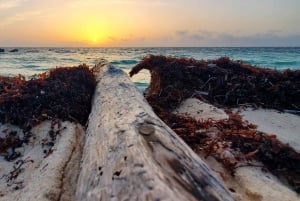 Long Island Bahamas: Guidet tur i en hel dag