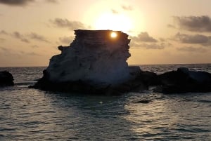 Long Island Bahamas: Guidet tur i en hel dag