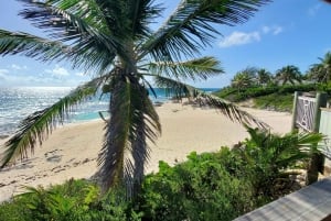 Long Island Bahamas: Guidet tur i en hel dag