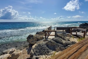 Long Island Bahamas: Guidet tur i en hel dag