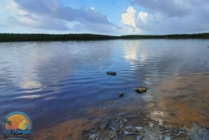 Long Island Bahamas: Guidet tur i en hel dag