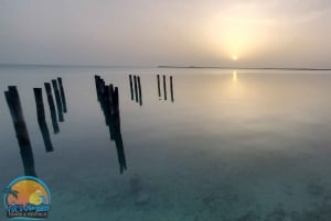 Long Island Bahamas: Guidet tur i en hel dag