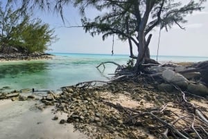 Long Island Bahamas: Guidet tur i en hel dag