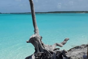 Long Island Bahamas: Guidet tur i en hel dag