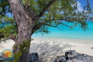 Long Island Bahamas: Guidet tur i en hel dag