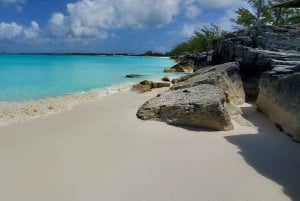 Long Island Bahamas: Guidet tur i en hel dag