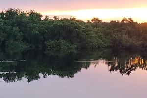 Long Island Bahamas: Guidet tur i en hel dag