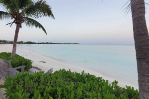 Long Island Bahamas: Guidet tur i en hel dag