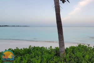 Long Island Bahamas: Guidet tur i en hel dag