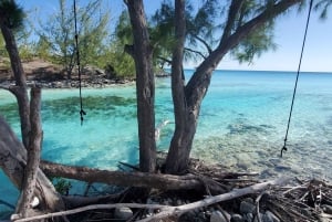 Long Island Bahamas: Guidet tur i en hel dag