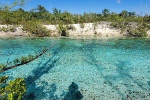 Long Island Bahamas: Guidet tur i en hel dag