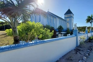 Long Island Bahamas: Guidet tur i en hel dag