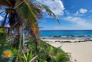 Long Island Bahamas: Guidet tur i en hel dag