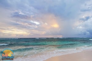 Long Island Bahamas: Guidet tur i en hel dag