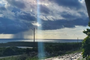 Long Island Bahamas: Guidet tur i en hel dag