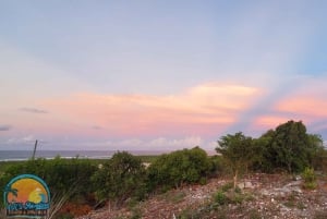 Long Island Bahamas: Guidet tur i en hel dag