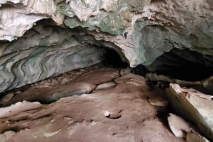 Long Island Bahamas: Guidet tur i en hel dag