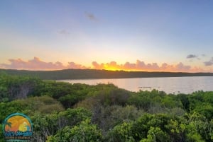 Long Island Bahamas: Guidet tur i en hel dag