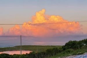 Long Island Bahamas: Guidet tur i en hel dag