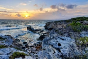 Long Island Bahamas: Guidet tur i en hel dag