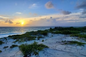 Long Island Bahamas: Guidet tur i en hel dag