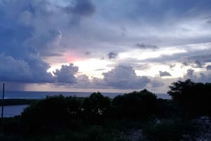 Long Island Bahamas: Guidet tur i en hel dag