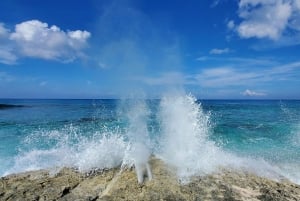 Long Island Bahamas: Guidet tur i en hel dag