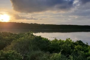 Long Island Bahamas: Guidet tur i en hel dag