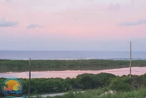 Long Island Bahamas: Guidet tur i en hel dag