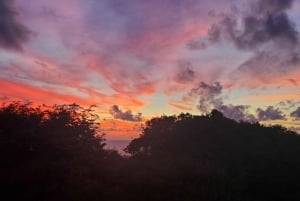 Long Island Bahamas: Guidet tur i en hel dag