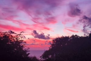 Long Island Bahamas: Guidet tur i en hel dag