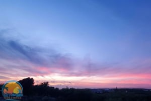 Long Island Bahamas: Guidet tur i en hel dag