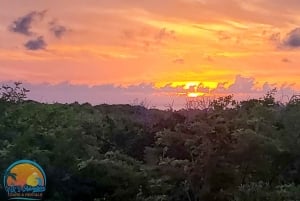 Long Island Bahamas: Guidet tur i en hel dag