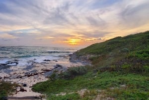 Long Island Bahamas: Guidet tur i en hel dag