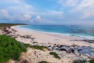 Long Island Bahamas: Guidet tur i en hel dag
