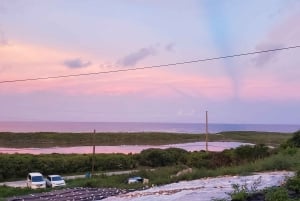 Long Island Bahamas: Guidet tur i en hel dag