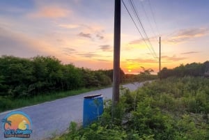 Long Island Bahamas: Guidet tur i en hel dag