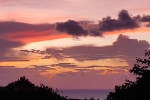 Long Island Bahamas: Guidet tur i en hel dag