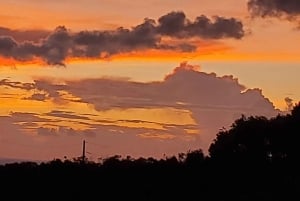 Long Island Bahamas: Guidet tur i en hel dag