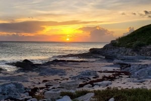 Long Island Bahamas: Guidet tur i en hel dag