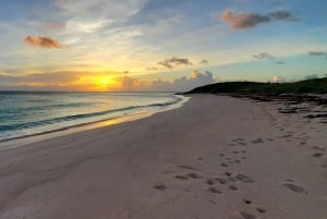 Long Island Bahamas: Guidet tur i en hel dag