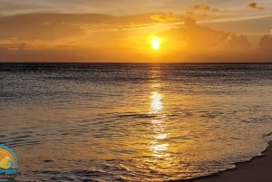 Long Island Bahamas: Guidet tur i en hel dag