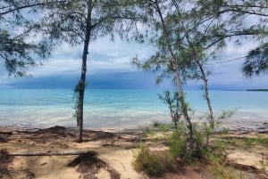 Long Island Bahamas: Guidet tur i en hel dag