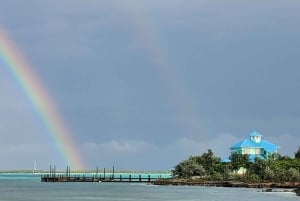 Long Island Bahamas: Guidet tur i en hel dag