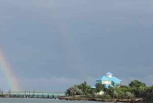 Long Island Bahamas: Guidet tur i en hel dag